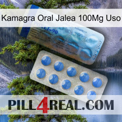 Kamagra Oral Jelly 100Mg Use 40